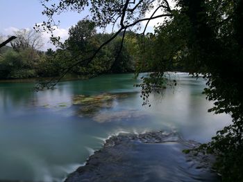 Scenic view of lake in forest against sky