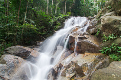 Scenic view of waterfall in forest