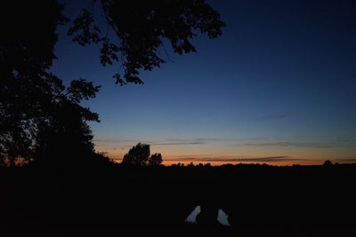 Silhouette trees against clear sky during sunset