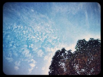 Low angle view of trees against cloudy sky