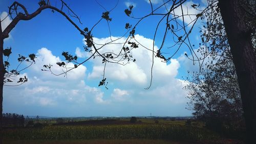 Scenic view of field against cloudy sky