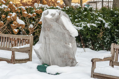 Plants and trees in a park or garden covered by the snow and blanket, swath of burlap