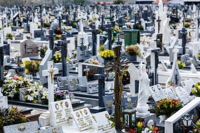 Cemetery high angle view