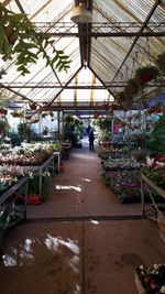 View of greenhouse