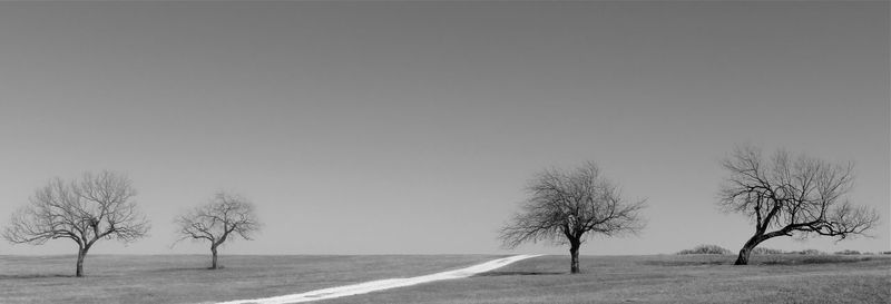 Trees on road against clear sky