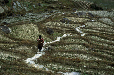 High angle view of person walking on terraced field