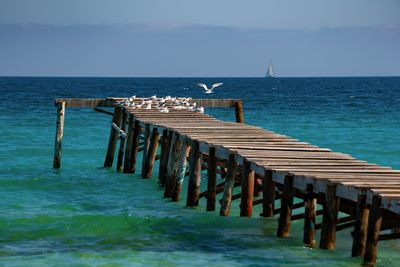 Pier on sea against sky