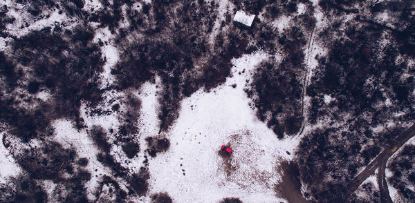 High angle view of trees on snow covered land