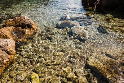 High angle view of rocks on beach