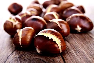 Close-up of food on wood