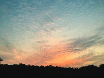 Silhouette trees against sky during sunset