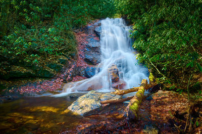 Log hollow falls in pisgah national forest, north carolina.