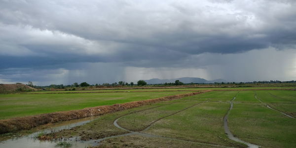 Scenic view of agricultural field against sky