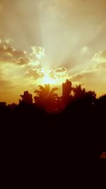 Silhouette of trees at sunset