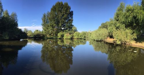 Reflection of trees in lake against sky