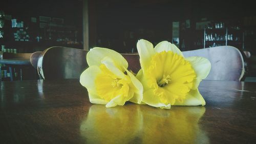 Close-up of yellow flower on table