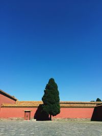 View of trees against clear blue sky