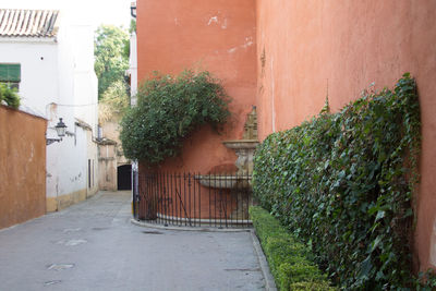 Alley amidst buildings in city