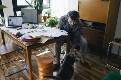 Full length of male architect playing with dog by desk in home office