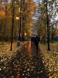 Rear view of people walking on footpath during autumn