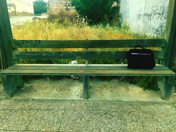 Empty bench by plants in yard