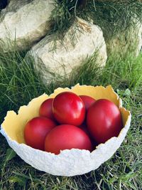 High angle view of fresh apples in field