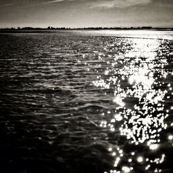 Reflection of trees in water