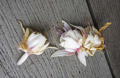 Close-up high angle view of flowers