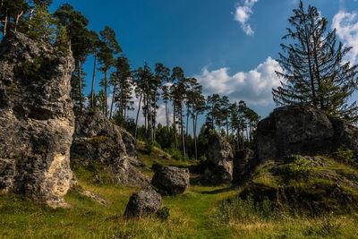 View of rocks on land against sky
