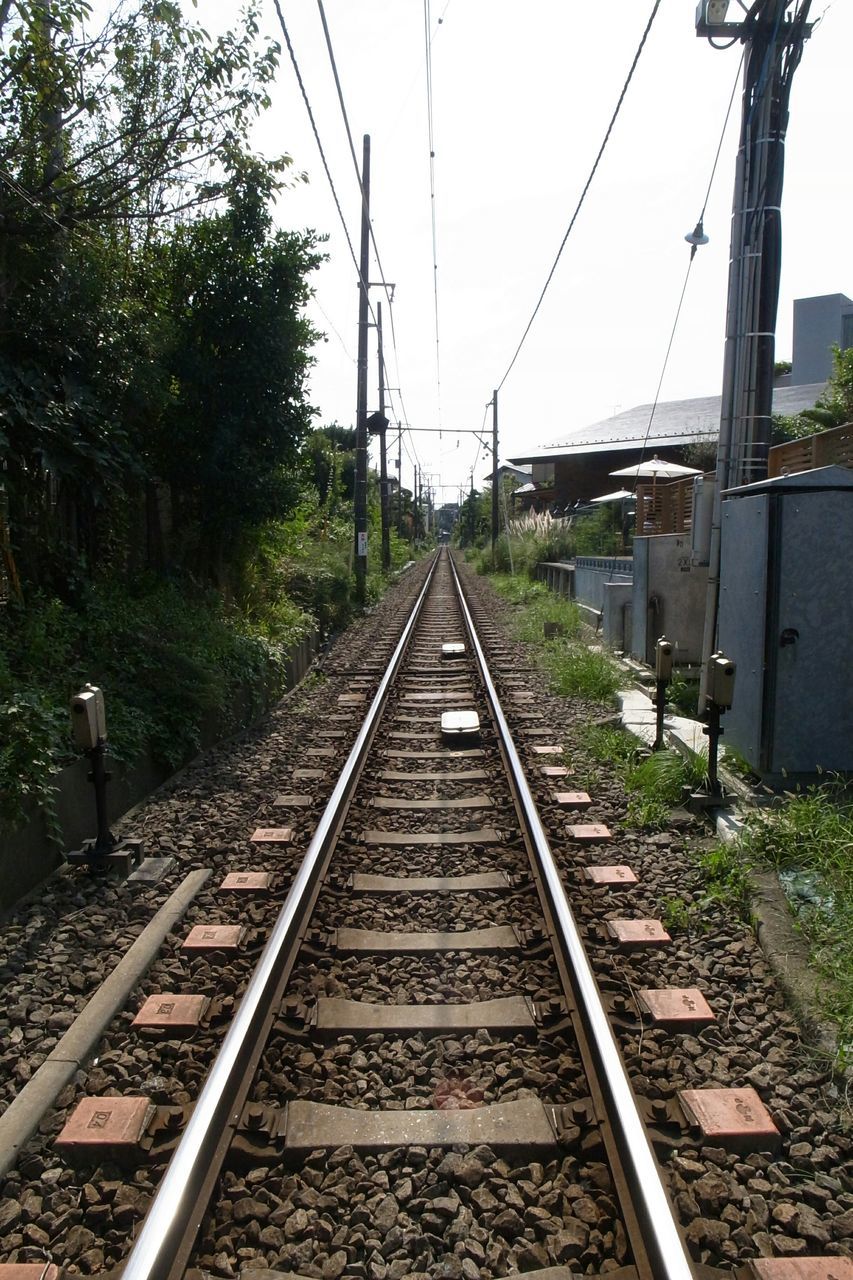 railroad track, rail transportation, transportation, power line, the way forward, diminishing perspective, tree, vanishing point, public transportation, electricity pylon, clear sky, railway track, sky, electricity, cable, power supply, built structure, railroad station, power cable, connection