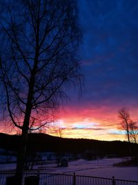 Silhouette bare tree against sky during sunset