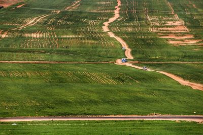 People walking on grassy field