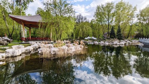 Reflection of trees in lake