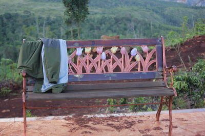 Bench in park