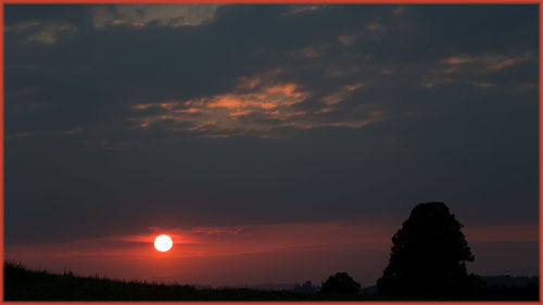 Silhouette of trees at sunset