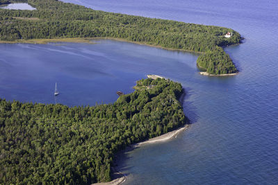 High angle view of trees by sea