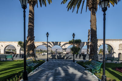 View of palm trees