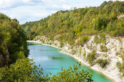 Scenic view of river amidst trees against sky