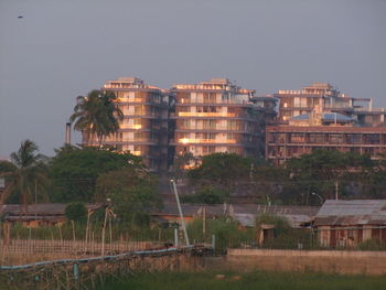 Trees and buildings in city