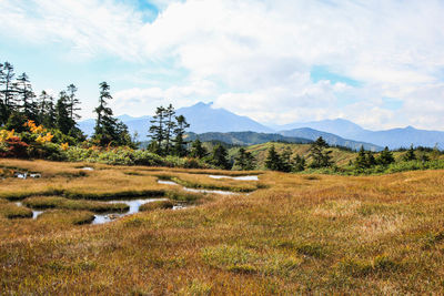 Scenic view of landscape against sky