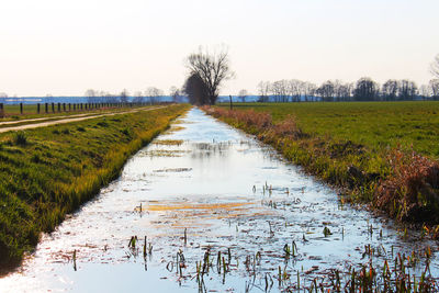 Canal amidst field against clear sky