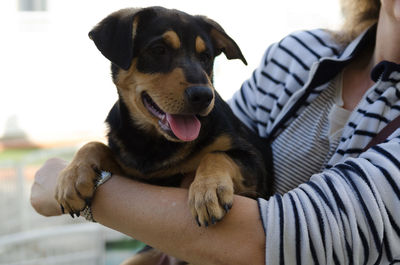 Close-up of man with dog sitting on hand