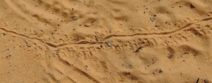 High angle view of footprints on sand