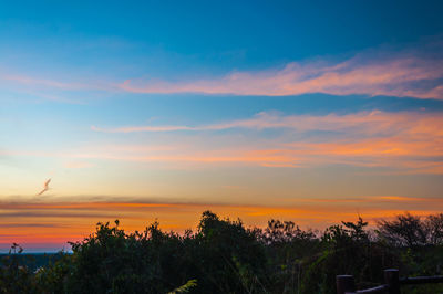 Silhouette trees against sky during sunset