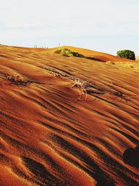 Scenic view of rural landscape