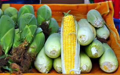 Close-up of vegetables for sale in market