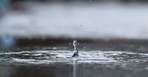 Close-up of water drop falling on surface