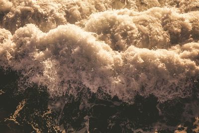 Low angle view of trees against sky