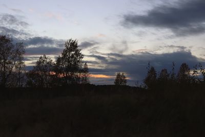 Silhouette trees on field against sky at sunset