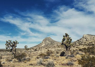 Scenic view of landscape against cloudy sky